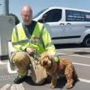 종합차유리 이미지