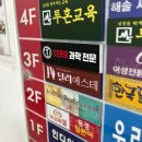 달리에스테 이미지