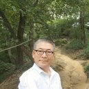 소리나무숲