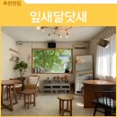 잎새달닷새