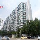 강남-252 이미지