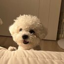 하늘N펜션 이미지