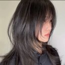 김송헤어라인
