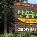 천왕농원 | 유명산 자연휴양림 맛집 산골농원 솥뚜껑닭볶음탕 가평 유명산 맛집