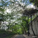 읍천리382 신림점 이미지