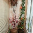 별과달민박 이미지