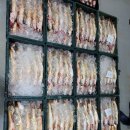 4월8일.2물때.5척(통치민어,반어,서대,잡어) 이미지
