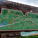 대천해수욕장 국민여가캠핑장(1지구) | 대천해수욕장 국민여가캠핑장 - 추석 서해바다캠핑