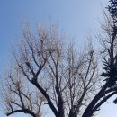 밀양향교작은도서관 이미지