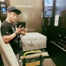 안성비봉산 캠핑장 | 벚꽃으로 유명한 안성 비봉산 캠핑장 후기 컨셉만큼은 확실합니다