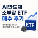 AI 반도체 소부장 ETF 매수 후기｜한미반도체는 오르는데 왜 내 계좌는 마이너스일까?