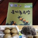 은지농수산