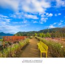 악양생태공원 이미지