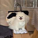 빵꾸네놀이터 이미지
