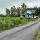 바로올레 이미지