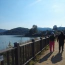 마더스 가든 이미지