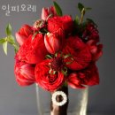 일피오레