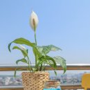 렌탈스튜디오다른