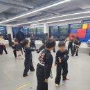 강호합기도 명륜 이미지