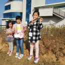 강화고인돌캠핑장 이미지