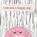 Play 영어 그림책 이미지