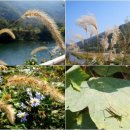 [참가신청] 2014년 9월20일(토) 섬진강 흐르는 아름다운 시골~ 섬진강 오지마을 걷기 이미지