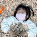 키즈웰의원 | 똑닥 어플 환불 방법과 후기 | 영유아검진 똑닥 예약 후 구독취소하면