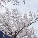 도마2동 행정복지센터 이미지