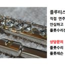 소피아플룻수리 이미지
