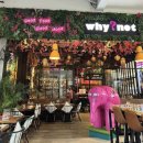 🇨🇷푸켓 여행 4일차 정실론 /Why Not / 메타디 빌라 앤 리조트 후기
