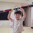 덱스 - 강남구 테헤란로 423 | 인피니티 풀업바 솔직후기 덱스도 쓴 가정용 턱걸이 문틀 철봉 추천