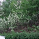 옻골문화공원 이미지