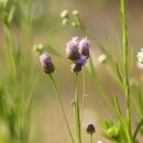 백남준로 이미지