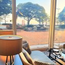 시즌호텔 | [해운대] 파라다이스 호텔 애프터눈티 딸기 시즌 솔직 후기 (예약 · 메뉴 · 가격 총정리)