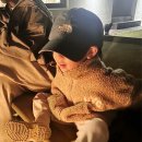 문막별장 이미지