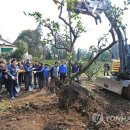 상예동-14 이미지