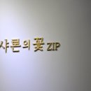 샤론의꽃zip