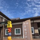 제주 어승생악 일제동굴진지 | 제주 한라산 어승생악"御乘生岳"코스