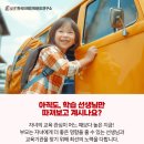 브레인태권도 이미지