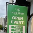 더 포레 동물병원 이미지