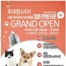 마스터그루밍클럽 네이버블로그
