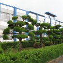 덕산중학교 이미지