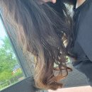 뽀짝뽀짝 애견 미용실 이미지