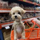 유통단지로7길 이미지