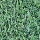 칠보크리닝 이미지