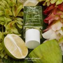 드리머 | [Maison de Owner] 지속력 좋은 감성 향수 메종드오너 드리머 가든 후기