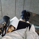 917001 | 베어파우 뮬 양털 슬리퍼 / BELLE SHEARLING (K917001ND-W)