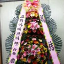 청학꽃집 이미지