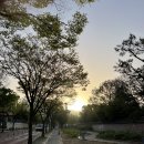 어반스케치(펜드로잉) 티스토리
