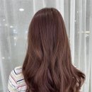 핑크애비뉴